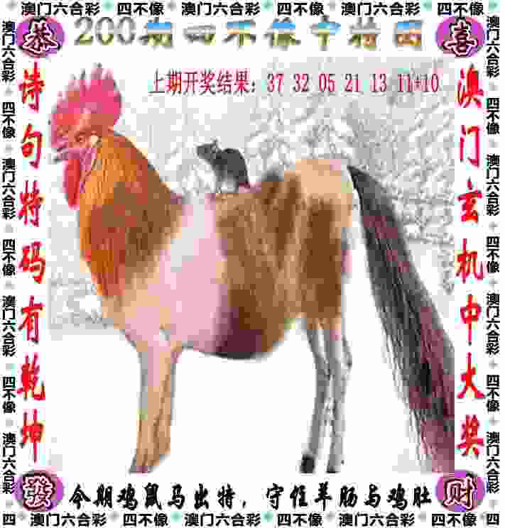 作家丁墨：金庸教会了我 更成熟地看待世界